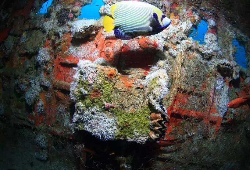 Fotos del hotel The Beehive:  4