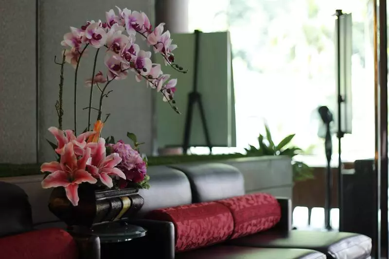 Fotos del hotel The Maple Suite:  25