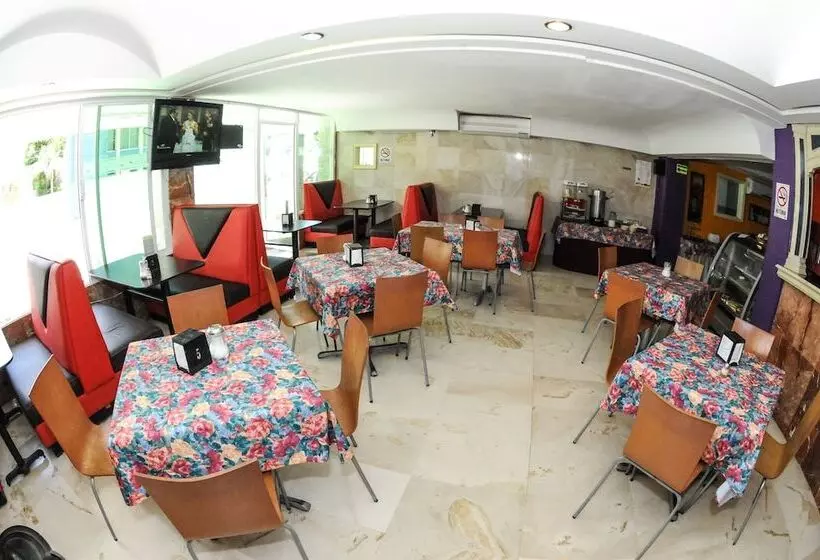 Fotos del hotel Hotel Ziami:  3