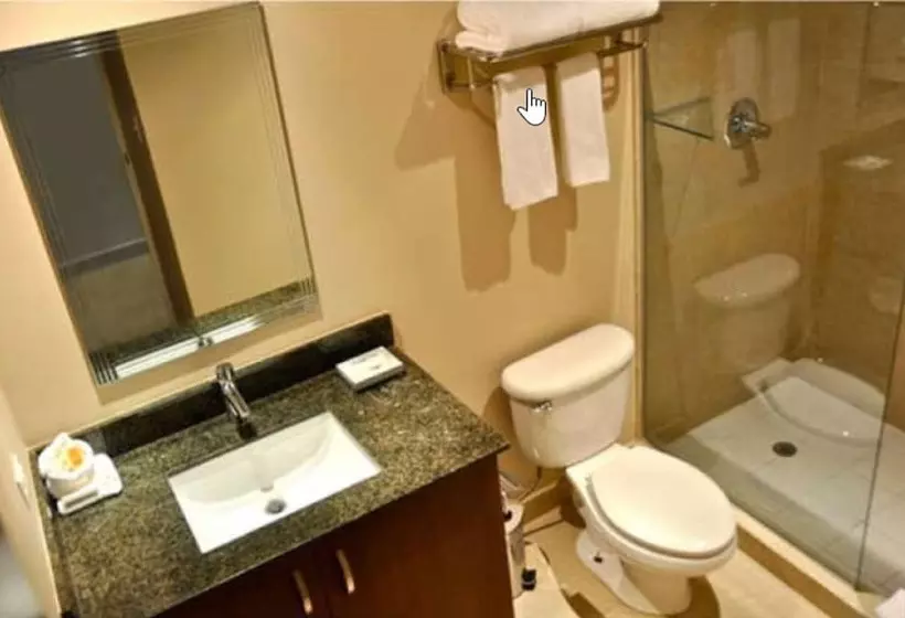 Fotos del hotel Y Casino Central Park Panama:  7