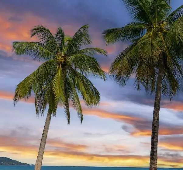 Fotos del hotel Fundee Boutique:  15