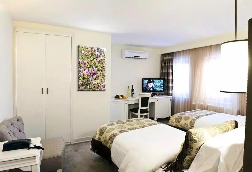 Fotos del hotel Taximtown:  17