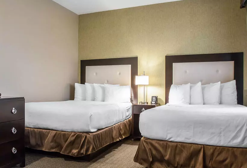 Fotos del hotel Envision  Bostonlongwood, Ascend  Collection:  18