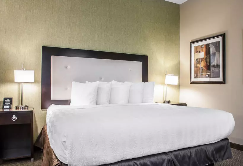 Fotos del hotel Envision  Bostonlongwood, Ascend  Collection:  14