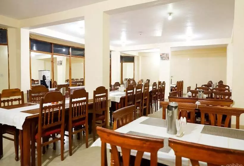 Fotos del hotel Neha Palace:  4