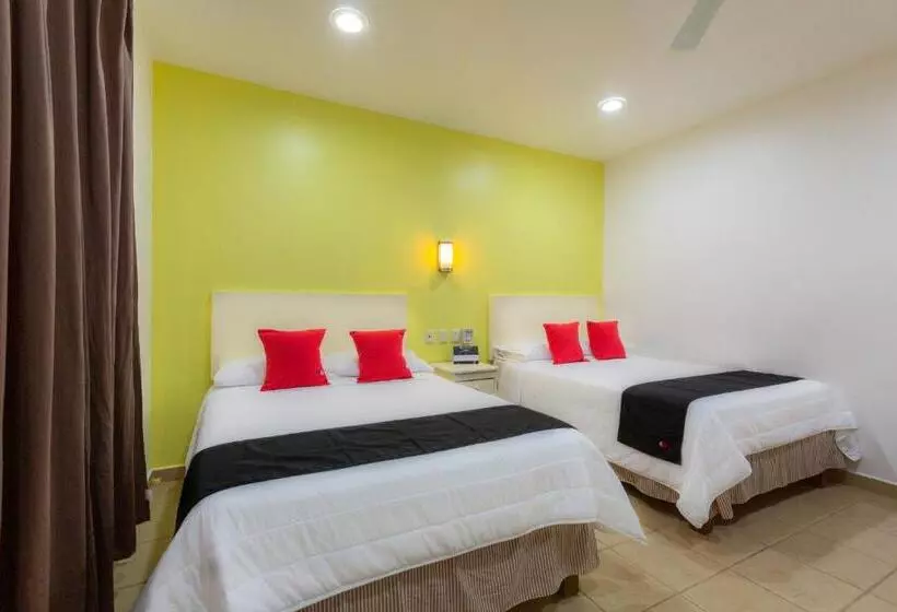 Fotos del hotel Oaxaca Guest:  16