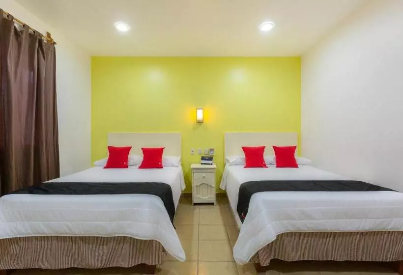 Fotos del hotel Oaxaca Guest:  12