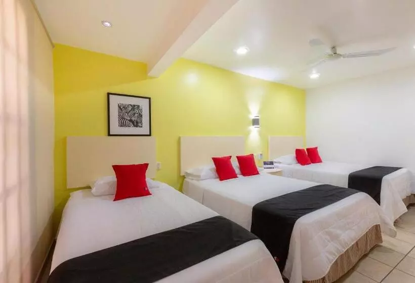 Fotos del hotel Oaxaca Guest:  8