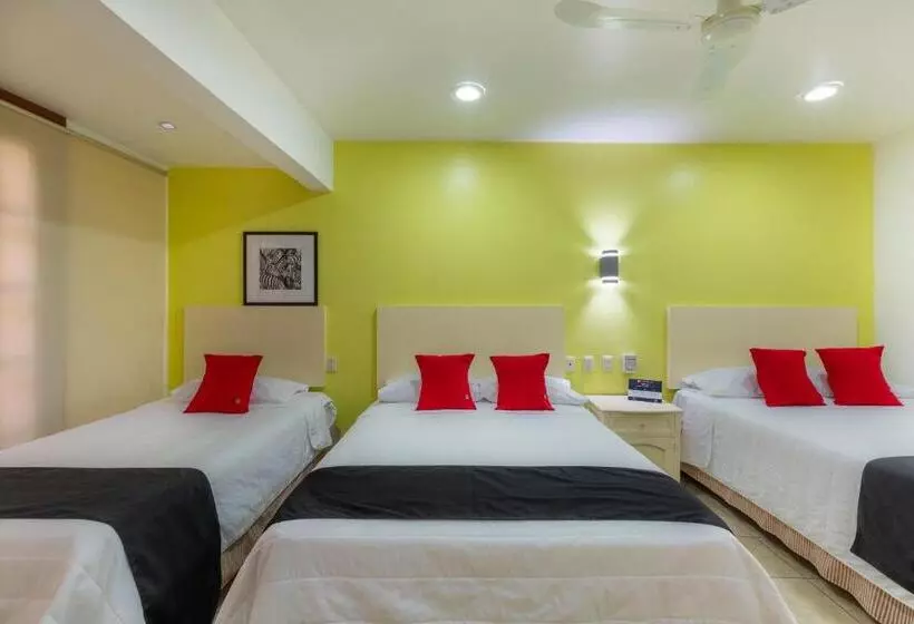 Fotos del hotel Oaxaca Guest:  6