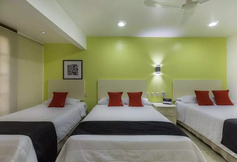 Fotos del hotel Oaxaca Guest:  13