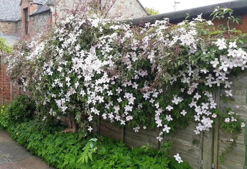 Fotos del hotel Cedar Villa Guest House:  4