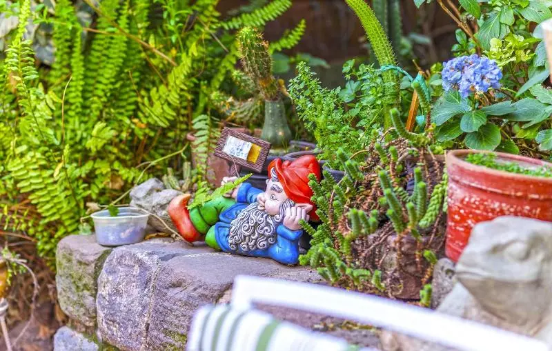 Fotos del hotel Fuente De Agua:  5