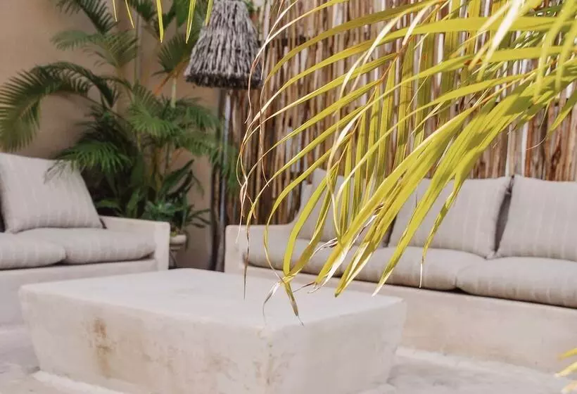 Fotos del hotel Posada 06 Tulum:  6