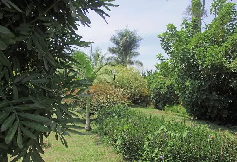 Fotos del hotel Royal Suites:  12