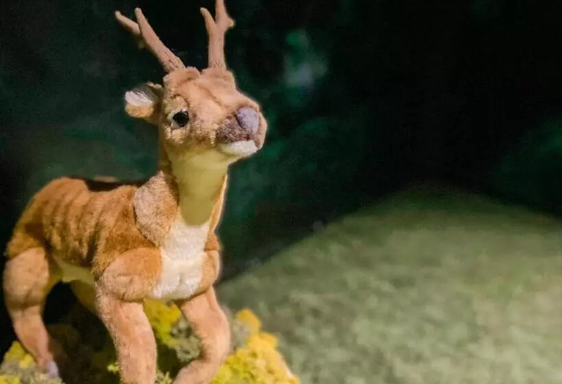 Fotos del hotel Shibuya  En:  14