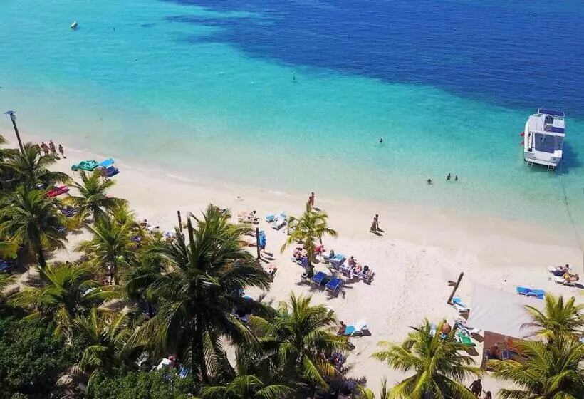 Fotos del hotel Henry Morgan All Inclusive:  6