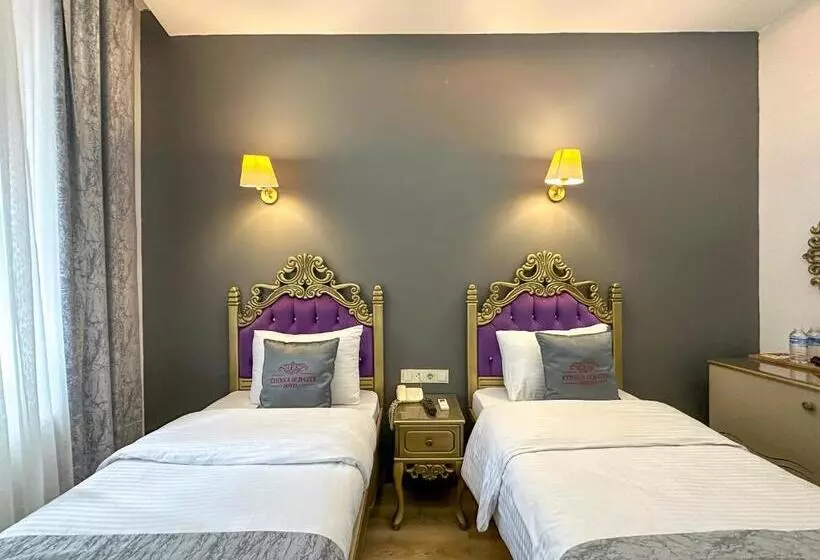 Fotos del hotel Grand Seigneur  Old City:  9