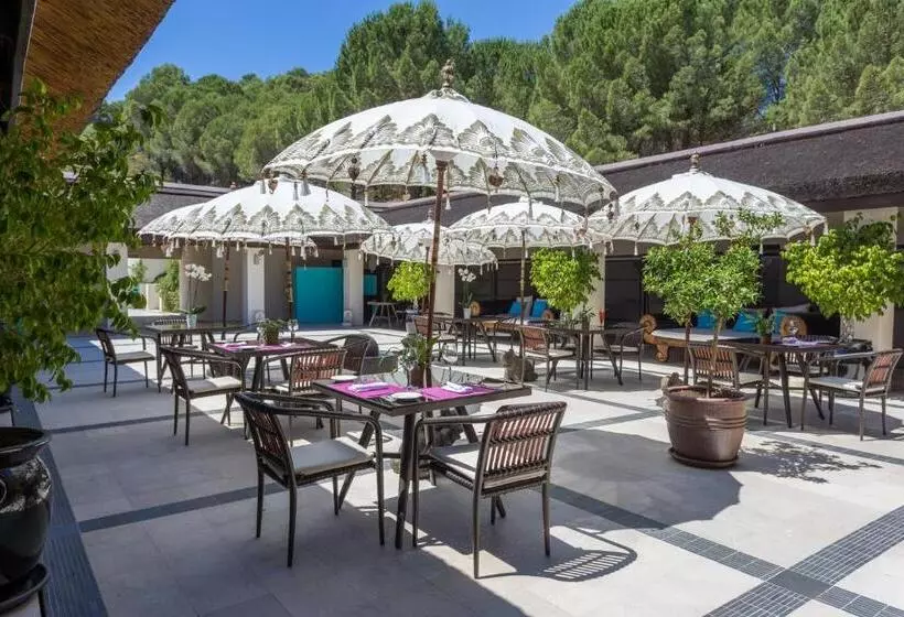 Fotos del hotel Shanti Som:  3