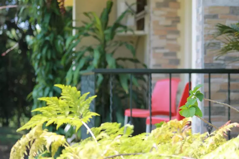 Fotos del hotel Campestre Santa Monica Pance:  20