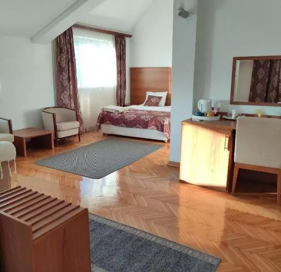 Fotos del hotel Ambasador:  5