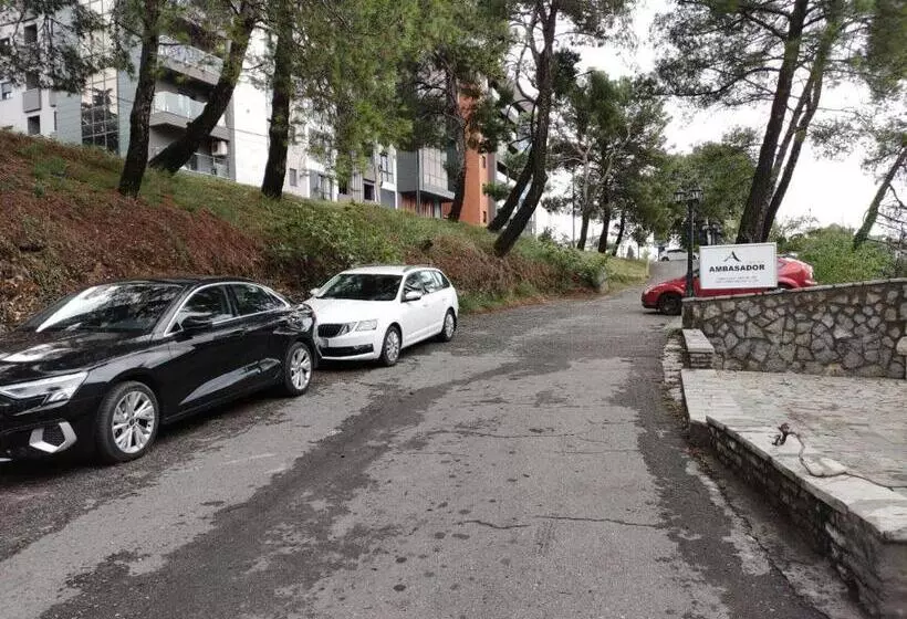 Fotos del hotel Ambasador:  8