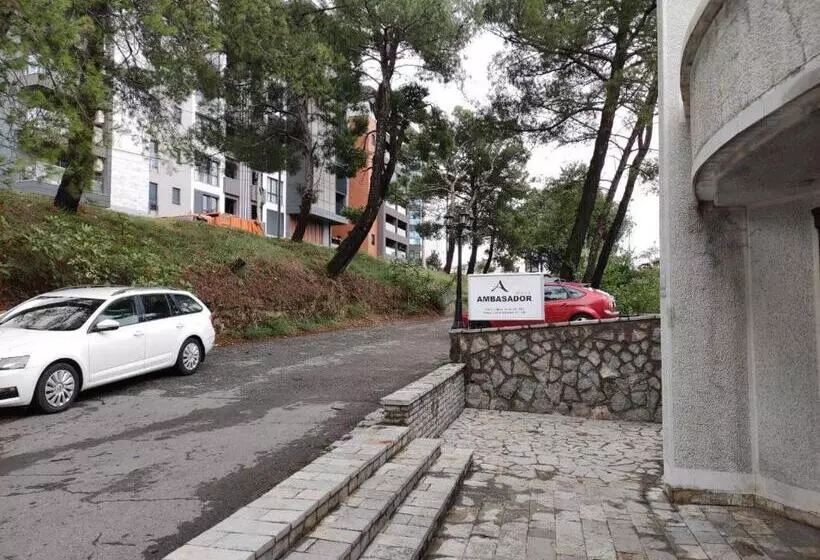 Fotos del hotel Ambasador:  4