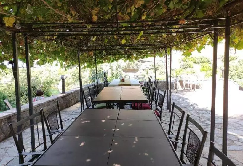 Fotos del hotel Ambasador:  7