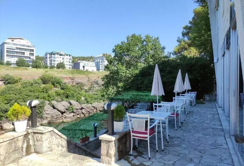 Fotos del hotel Ambasador:  3