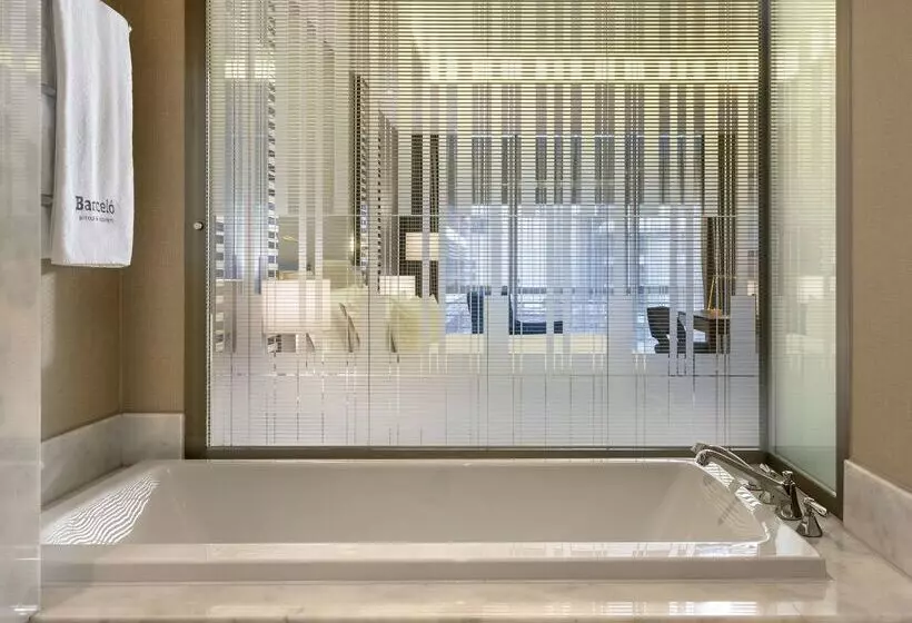 Fotos del hotel Barceló Istanbul:  50