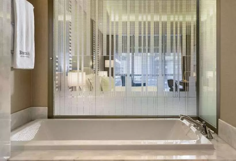 Fotos del hotel Barceló Istanbul:  70