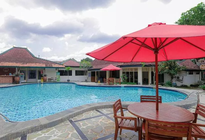 Fotos del hotel Brongto:  15