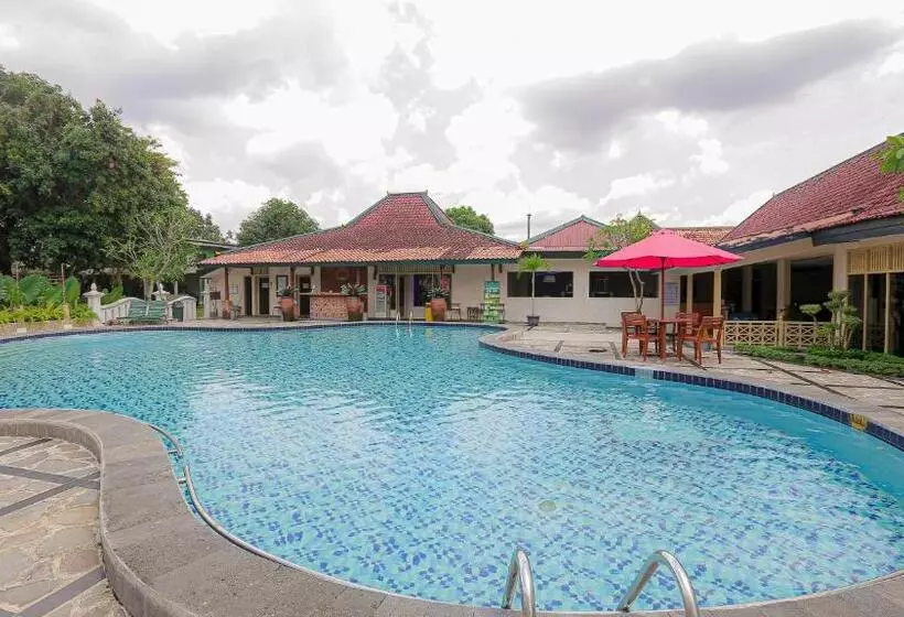 Fotos del hotel Brongto:  18