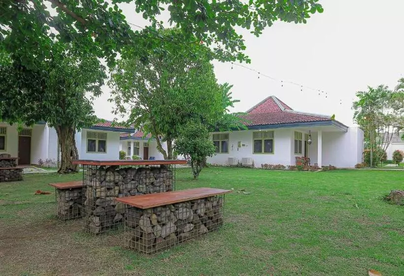 Fotos del hotel Brongto:  25