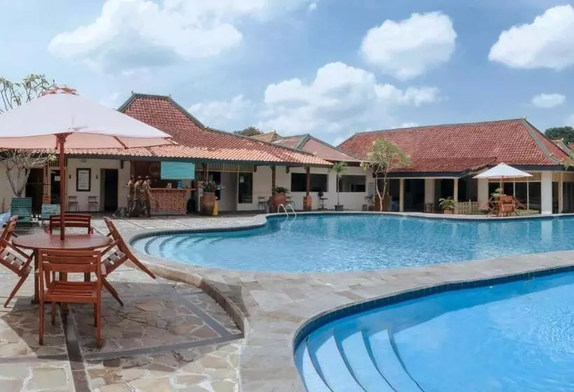 Fotos del hotel Brongto:  11