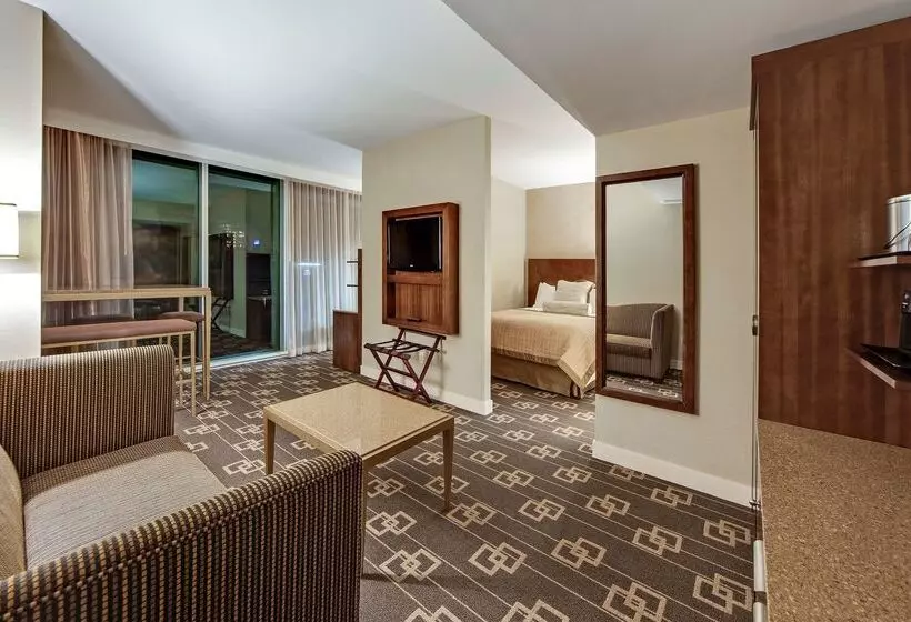 Fotos del hotel Wyndham Garden Chinatown:  7