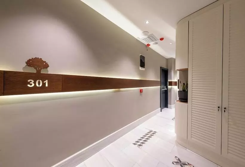 Fotos del hotel Balo:  4