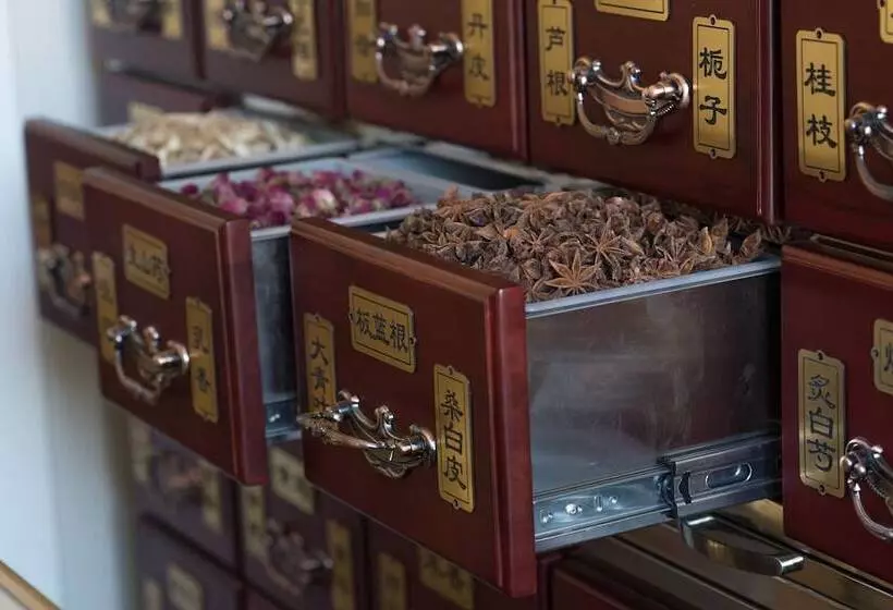 Fotos del hotel Mirage Medic:  14