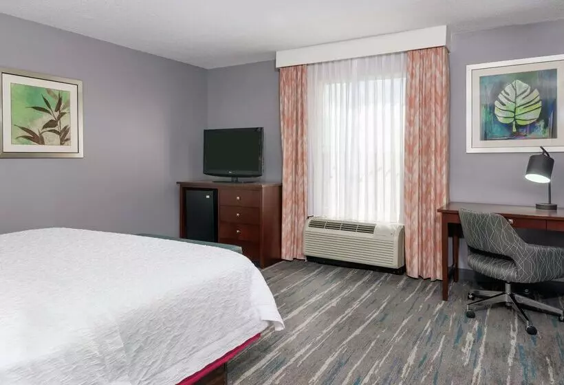 Fotos del hotel Hampton Inn & Suites Orlando Airport At Gateway Village:  17