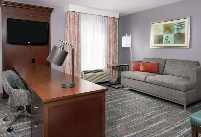 Fotos del hotel Hampton Inn & Suites Orlando Airport At Gateway Village:  23