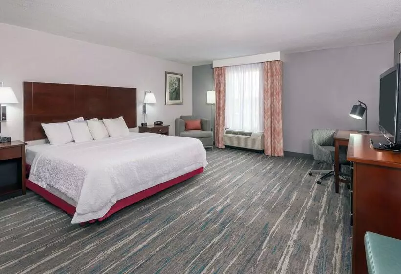 Fotos del hotel Hampton Inn & Suites Orlando Airport At Gateway Village:  11