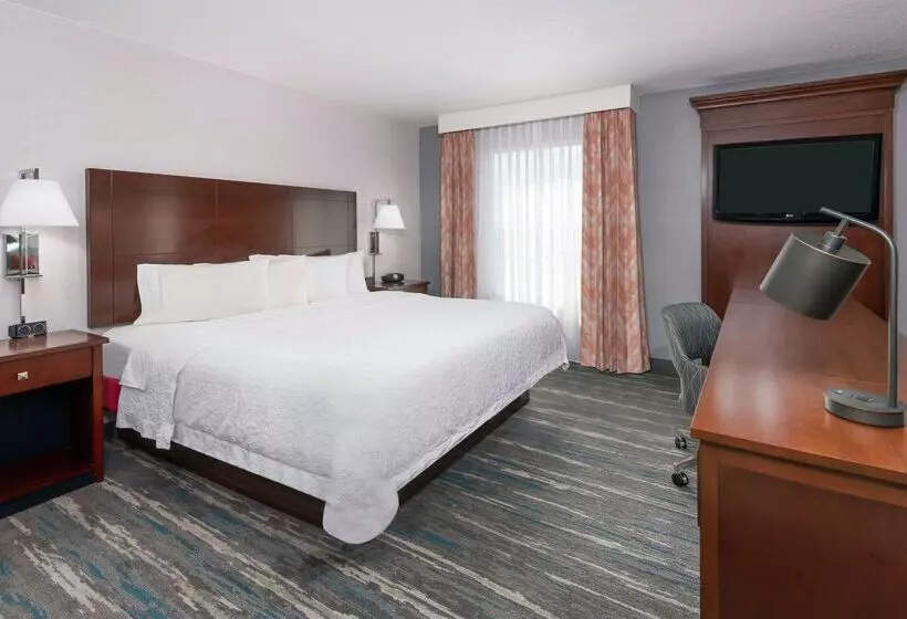 Fotos del hotel Hampton Inn & Suites Orlando Airport At Gateway Village:  19