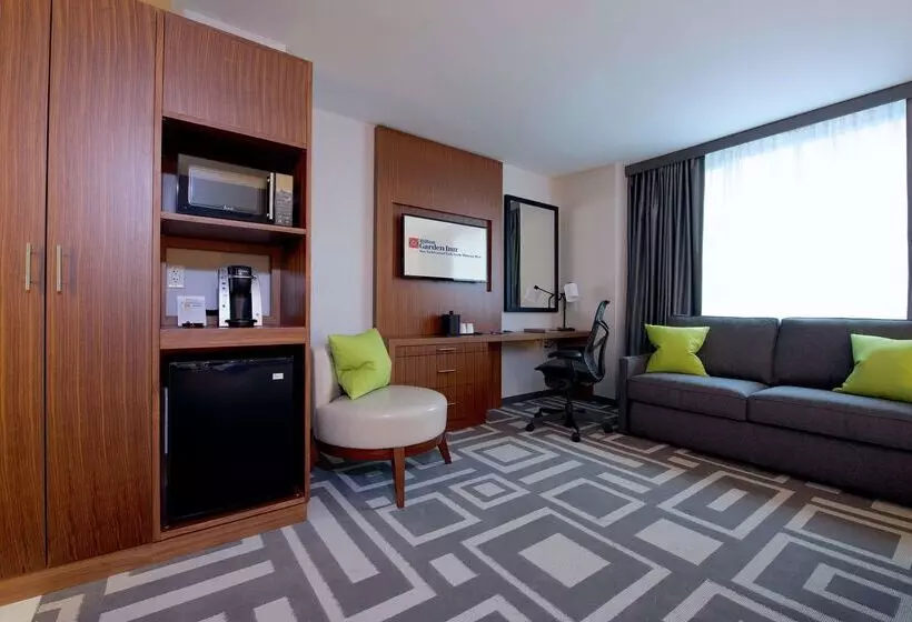 Fotos del hotel Hilton Garden Inn Central Park South:  25