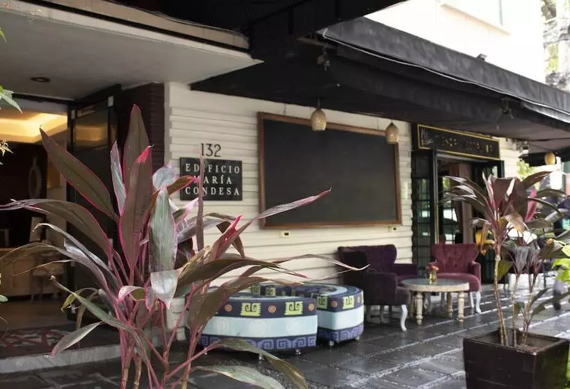 Fotos del hotel Maria Condesa:  22