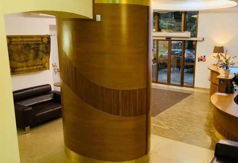 Fotos del hotel Matejko:  13