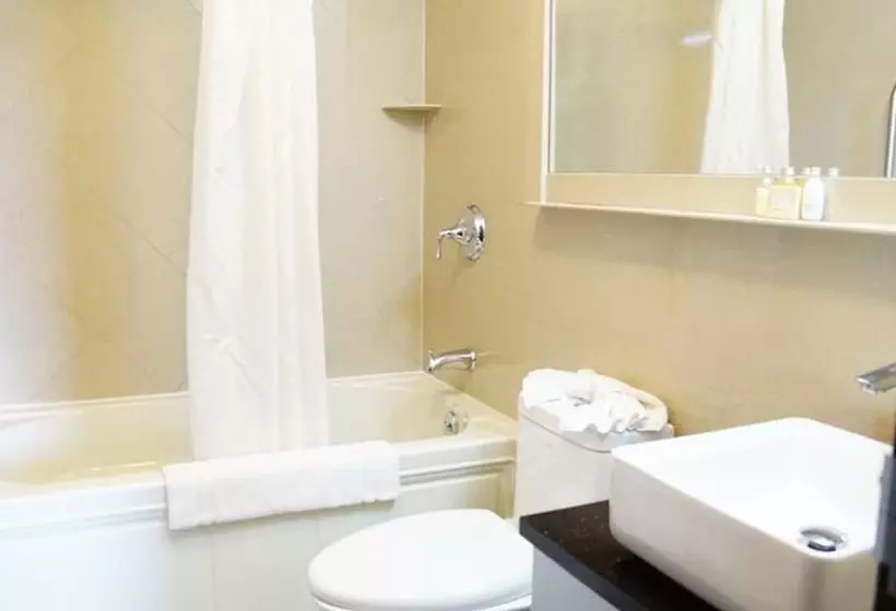 Fotos del hotel Nesva   New York City Vista:  9