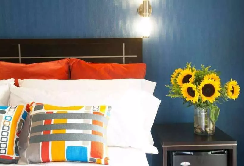 Fotos del hotel Nesva   New York City Vista:  16