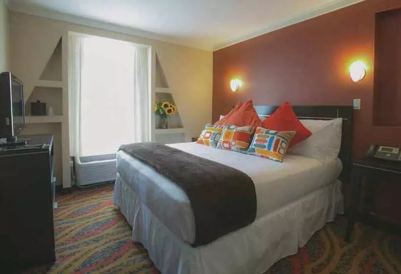 Fotos del hotel Nesva   New York City Vista:  11