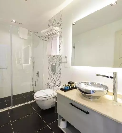 Fotos del hotel Suiteness Taksim:  6