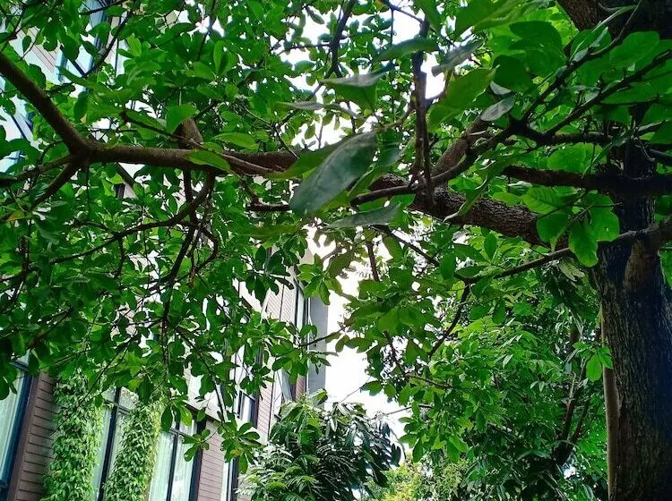 Fotos del hotel Vismaya Suvarnabhumi:  25