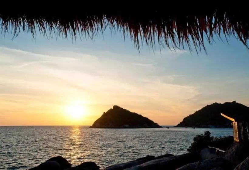 Fotos del hotel Dusit Buncha Resort Koh Tao:  17